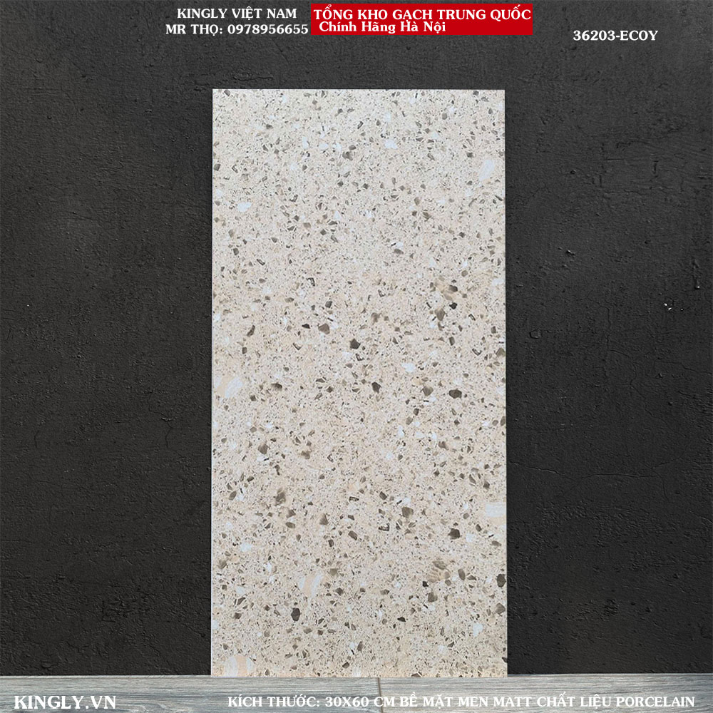 Gạch Terrazzo 30x60 36203